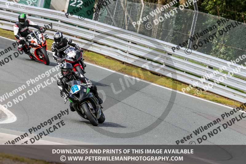 Oulton Park 21st March 2020;PJ Motorsport Photography 2020;anglesey;brands hatch;cadwell park;croft;donington park;enduro digital images;event digital images;eventdigitalimages;mallory;no limits;oulton park;peter wileman photography;racing digital images;silverstone;snetterton;trackday digital images;trackday photos;vmcc banbury run;welsh 2 day enduro